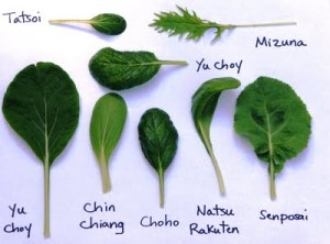 Asian-Greens